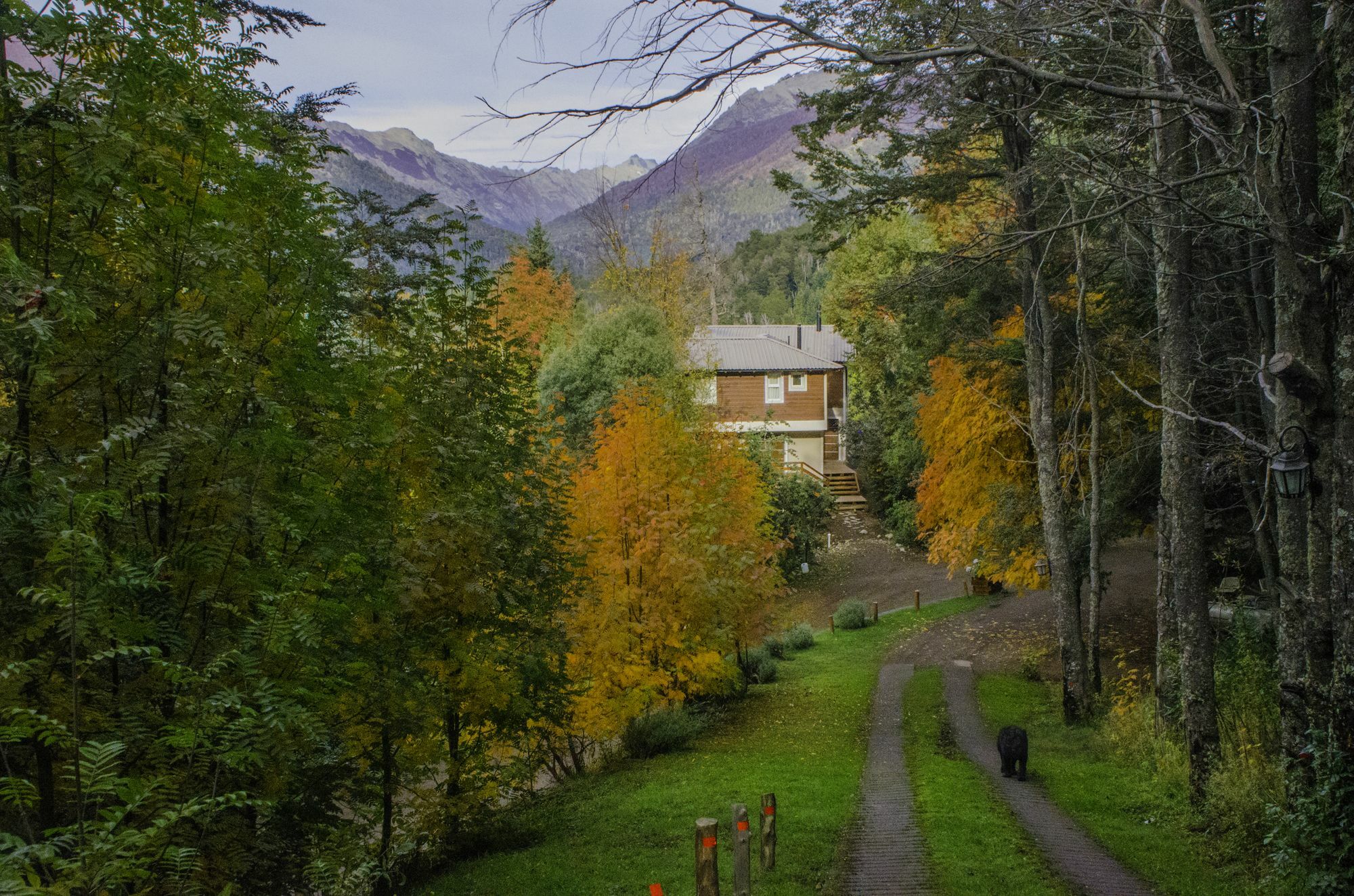 Cabanas Villa Panil San Carlos de Bariloche Exterior foto