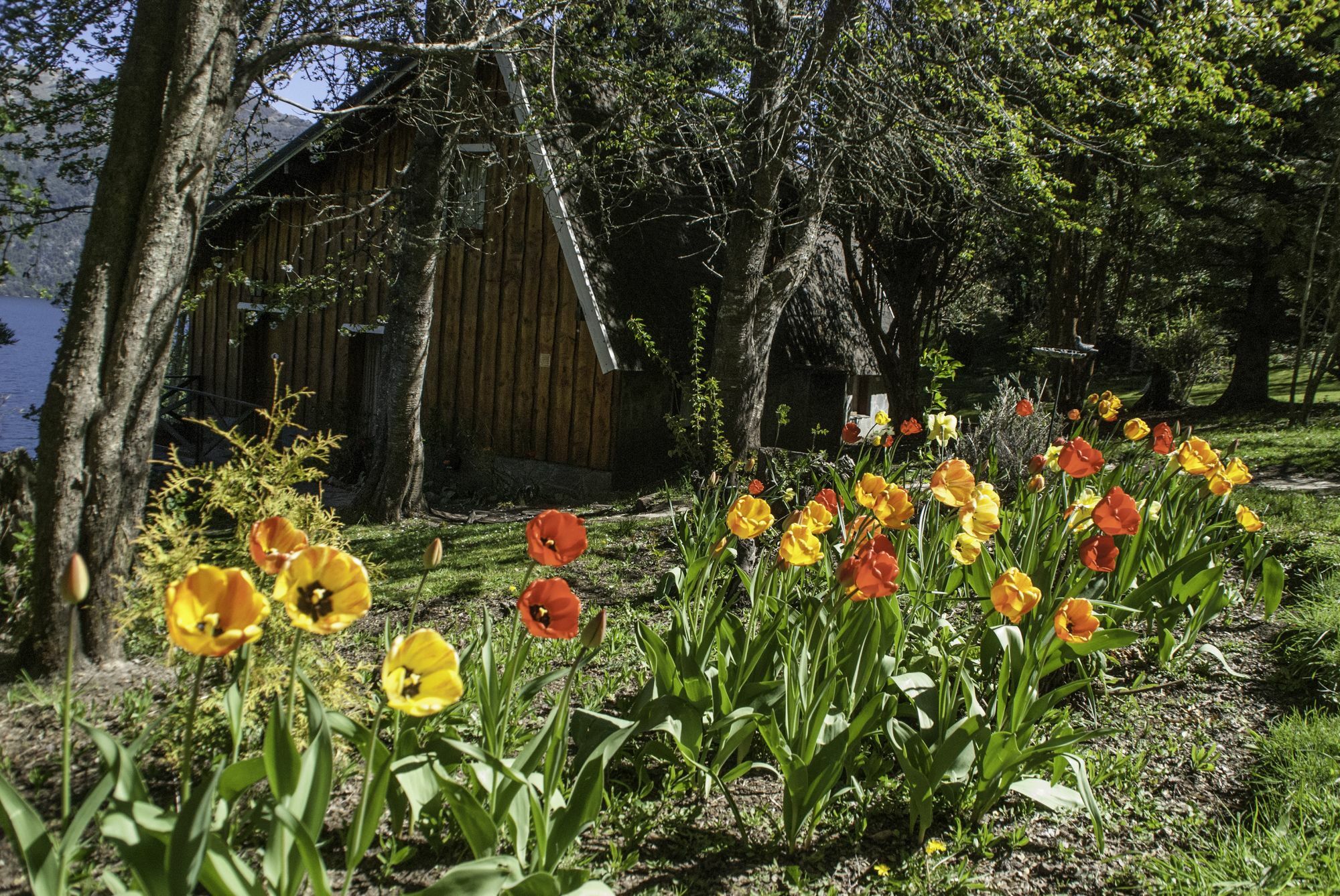 Cabanas Villa Panil San Carlos de Bariloche Exterior foto
